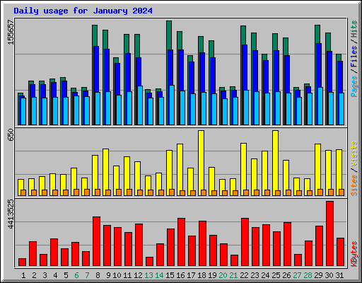 Daily usage for January 2024