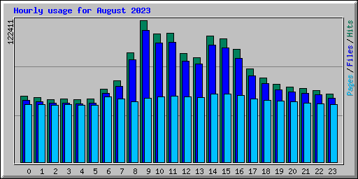 Hourly usage for August 2023