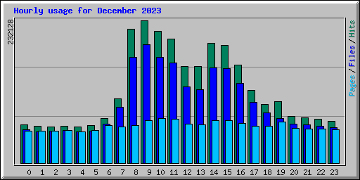 Hourly usage for December 2023