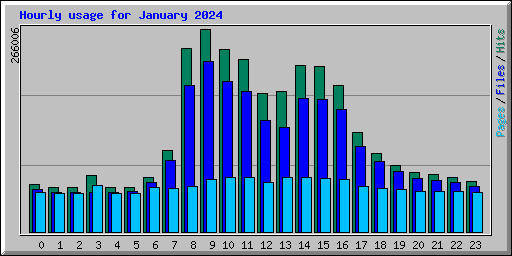 Hourly usage for January 2024