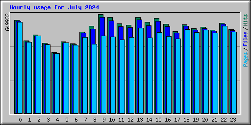 Hourly usage for July 2024