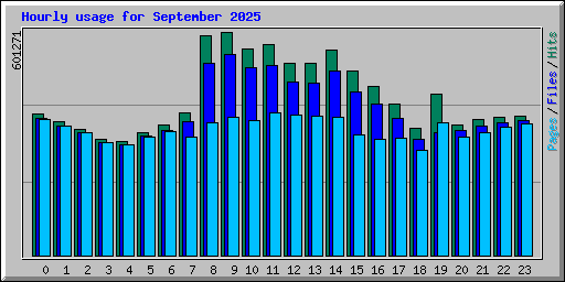 Hourly usage for September 2025